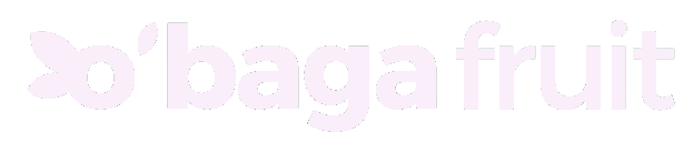 Obaga Logo